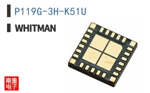 P119G-3H-K51U ͼƬ